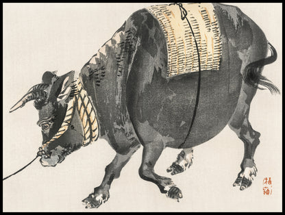 Plakat  Black Bull, Kōno Bairei Japoński Vintage do Salonu