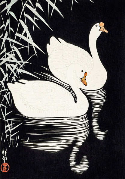 Plakat  White Chinese Geese, Koson Japoński Vintage do Salonu