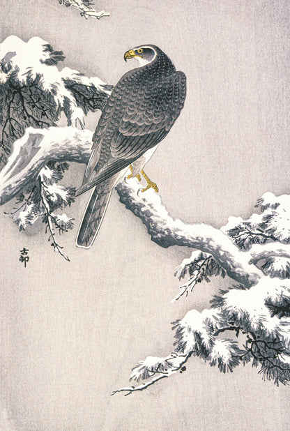 Plakat  Goshawk on Snow, Koson Japoński Vintage do Salonu