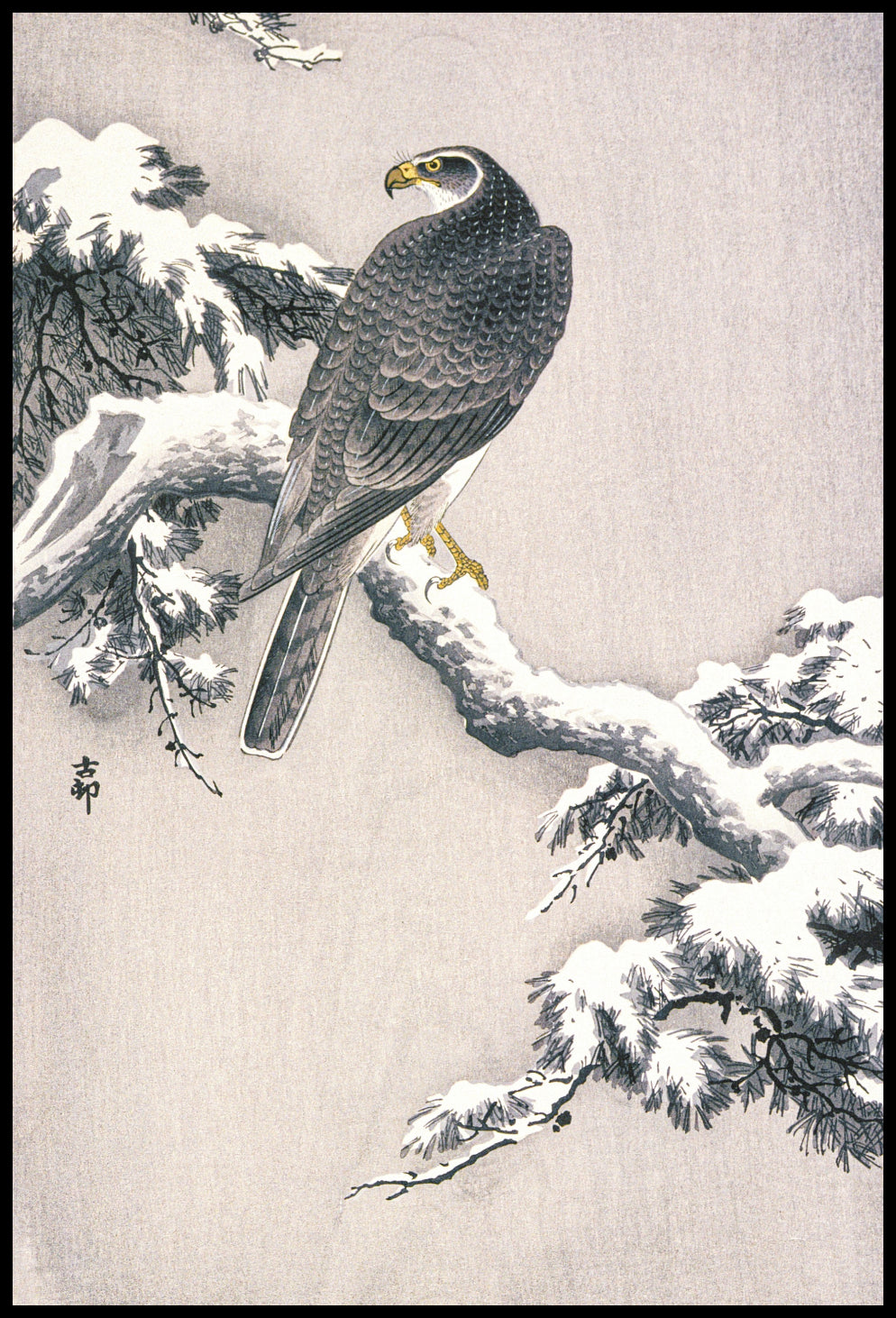 Plakat  Goshawk on Snow, Koson Japoński Vintage do Salonu