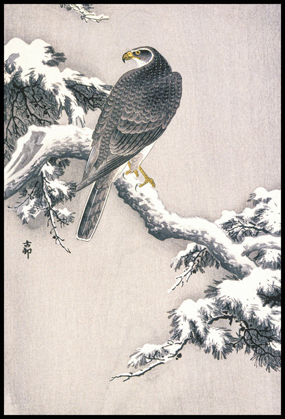 Plakat  Goshawk on Snow, Koson Japoński Vintage do Salonu