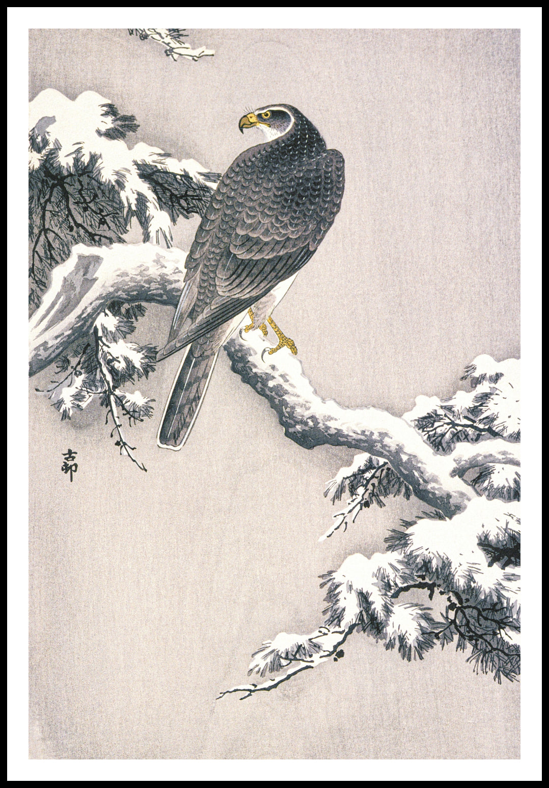Plakat  Goshawk on Snow, Koson Japoński Vintage do Salonu
