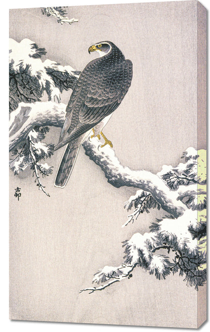 Obraz  Goshawk on Snow, Koson Japoński Vintage do Salonu