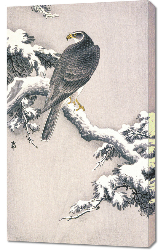 Obraz  Goshawk on Snow, Koson Japoński Vintage do Salonu