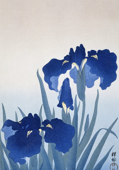 Plakat  Iris Flowers, Koson Japoński Vintage do Salonu