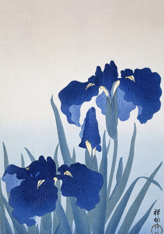 Plakat  Iris Flowers, Koson Japoński Vintage do Salonu