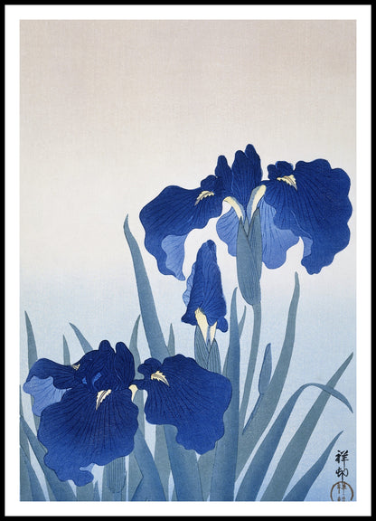 Plakat  Iris Flowers, Koson Japoński Vintage do Salonu