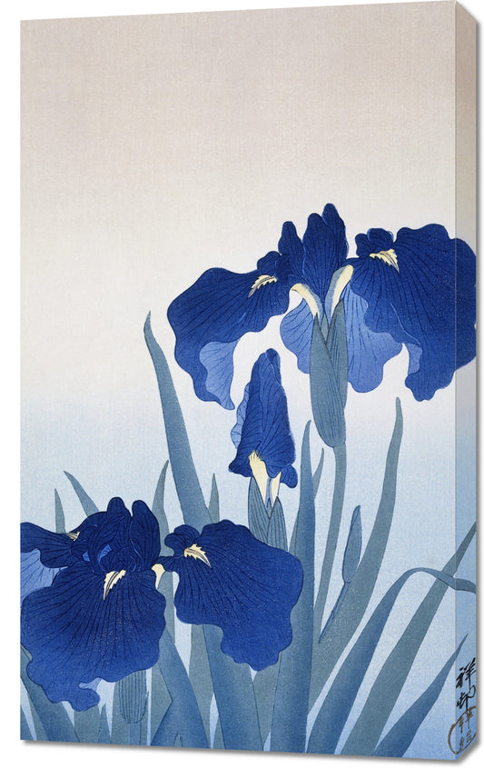Obraz  Iris Flowers, Koson Japoński Vintage do Salonu