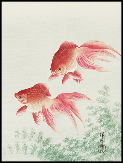 Plakat  Two Veil Goldfish, Koson Japoński Vintage do Salonu