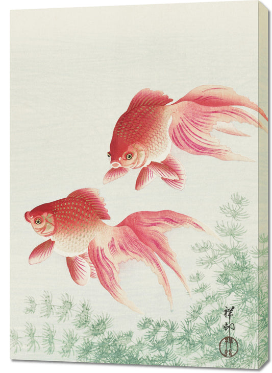 Obraz  Two Veil Goldfish, Koson Japoński Vintage do Salonu
