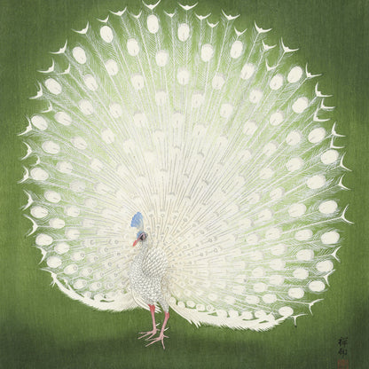 Plakat  Peacock, Koson Japoński Vintage do Salonu