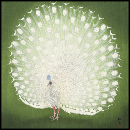 Plakat  Peacock, Koson Japoński Vintage do Salonu