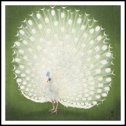 Plakat  Peacock, Koson Japoński Vintage do Salonu