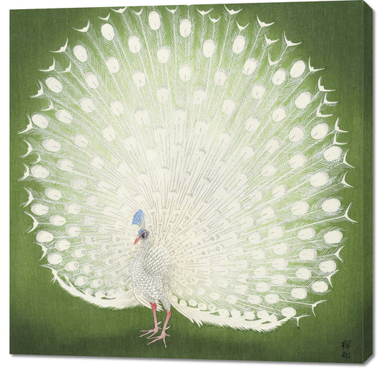 Obraz  Peacock, Koson Japoński Vintage do Salonu