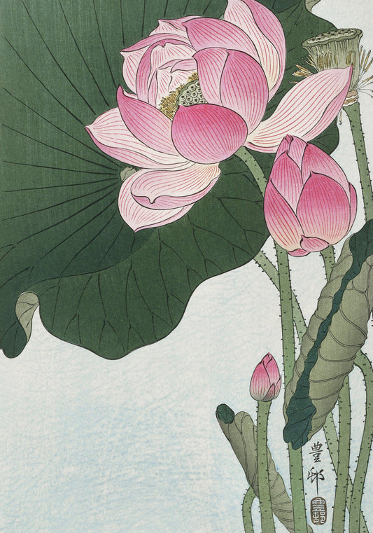 Plakat  Blooming Lotus Flowers, Koson Japoński Vintage do Salonu