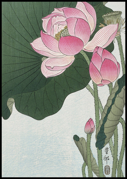 Plakat  Blooming Lotus Flowers, Koson Japoński Vintage do Salonu