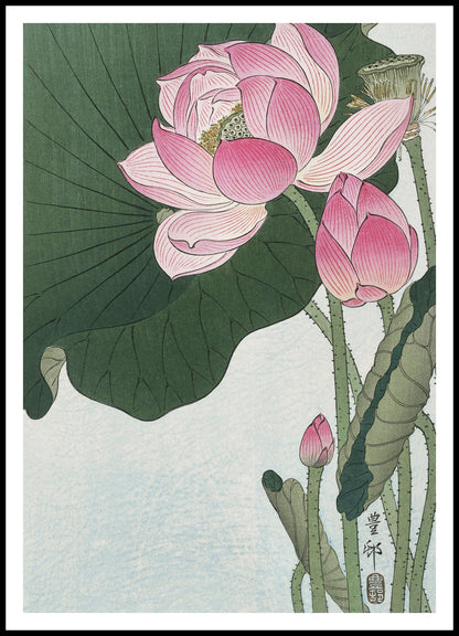 Plakat  Blooming Lotus Flowers, Koson Japoński Vintage do Salonu