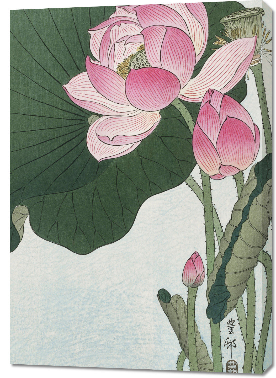 Obraz  Blooming Lotus Flowers, Koson Japoński Vintage do Salonu