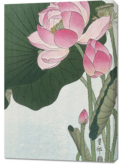 Obraz  Blooming Lotus Flowers, Koson Japoński Vintage do Salonu