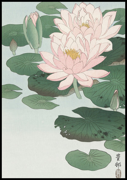Plakat  Water Lily, Koson Japoński Vintage do Salonu
