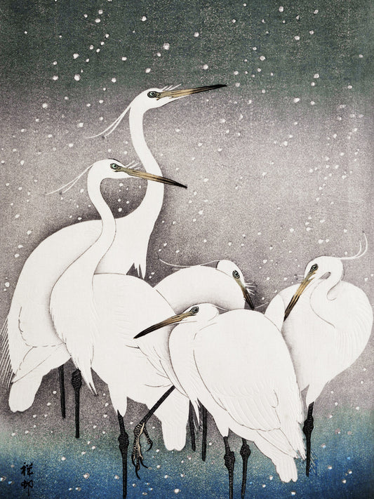 Plakat  Group of Egrets, Koson Japoński Vintage do Salonu