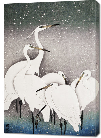 Obraz  Group of Egrets, Koson Japoński Vintage do Salonu