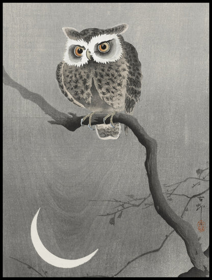 Plakat  Long-Eared Owl, Koson Japoński Vintage do Salonu