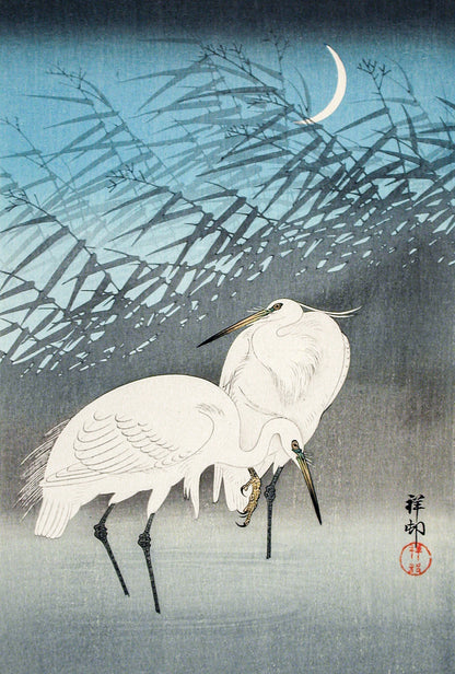Plakat  Egrets and Reeds, Koson Japoński Vintage do Salonu