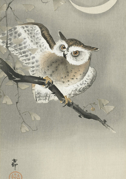 Plakat  Long-Eared Owl 2, Koson Japoński Vintage do Salonu