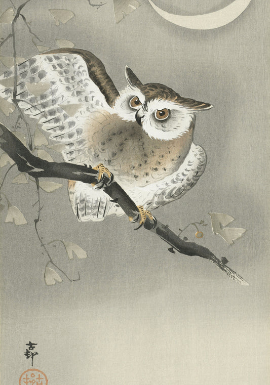Plakat  Long-Eared Owl 2, Koson Japoński Vintage do Salonu