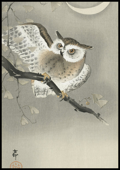 Plakat  Long-Eared Owl 2, Koson Japoński Vintage do Salonu