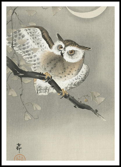 Plakat  Long-Eared Owl 2, Koson Japoński Vintage do Salonu