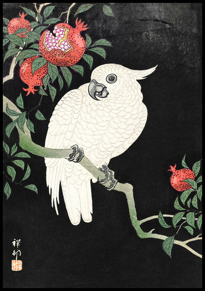 Plakat  Cockatoo and Pomegranate, Koson Japoński Vintage do Salonu