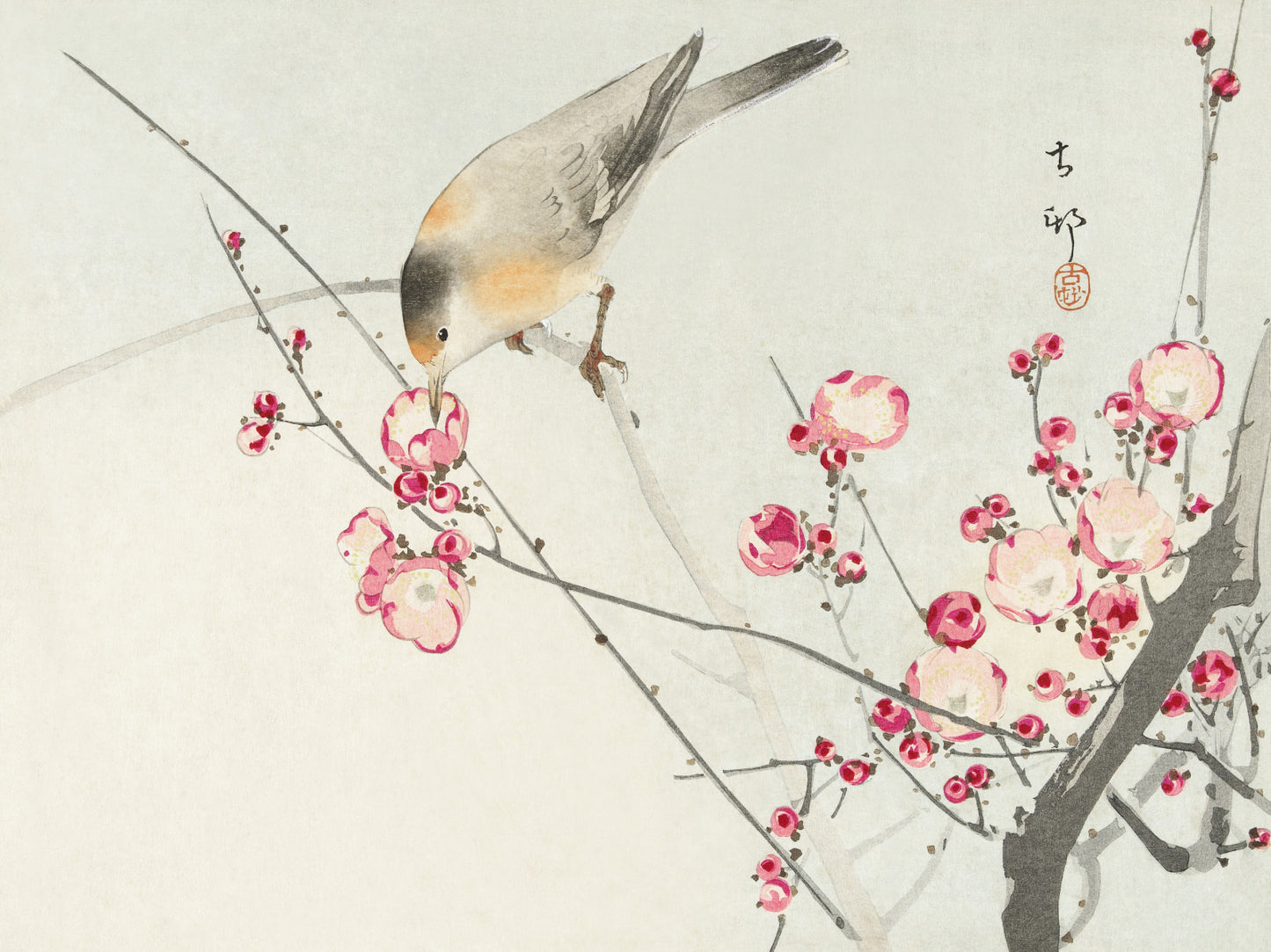 Plakat  Songbird on Blossom Branch, Koson Vintage do Salonu
