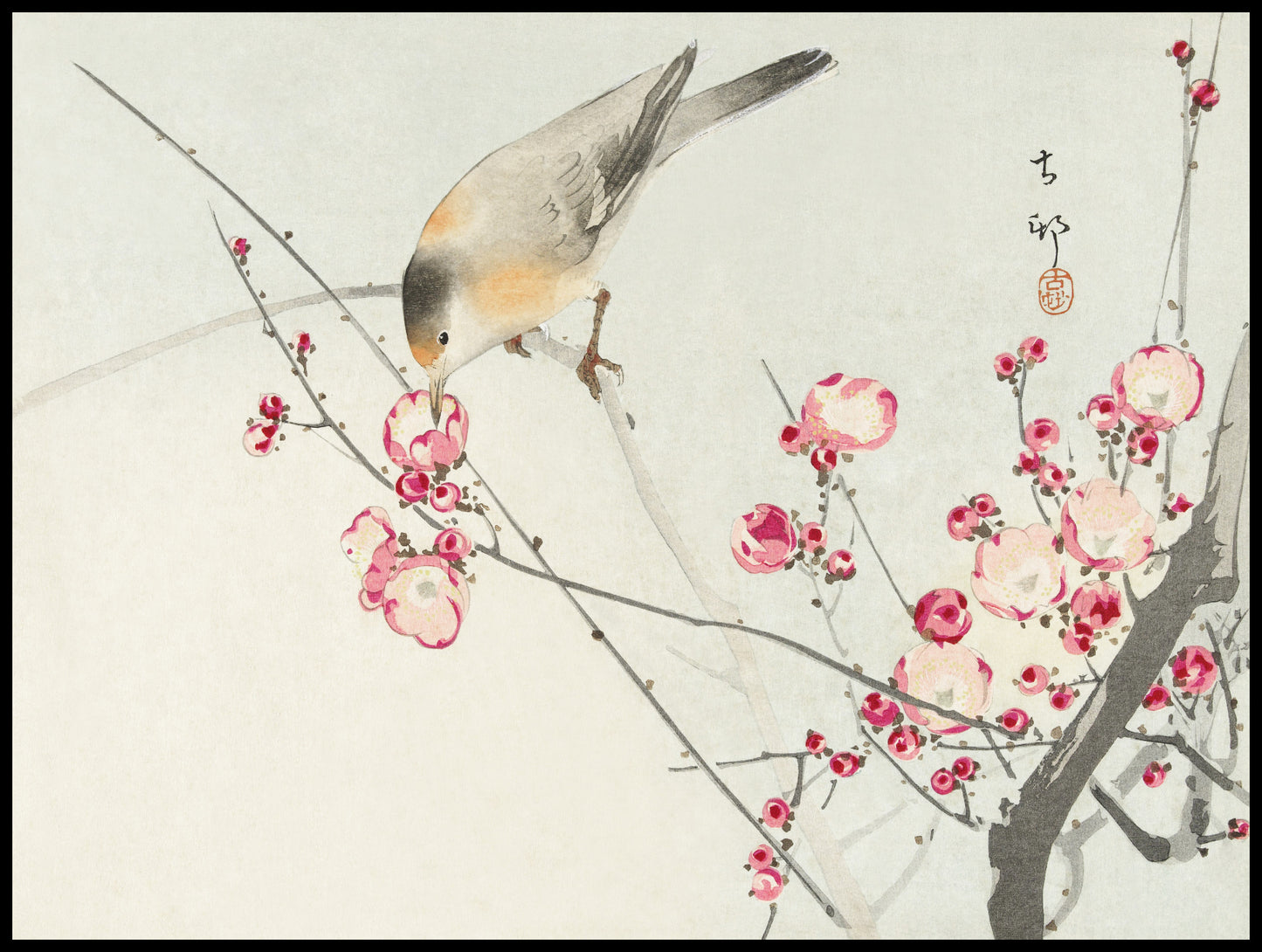 Plakat  Songbird on Blossom Branch, Koson Vintage do Salonu