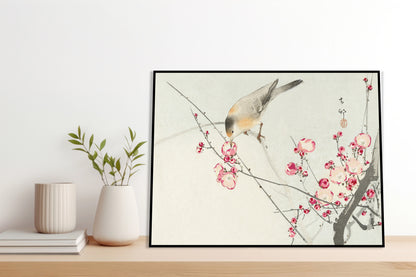 Plakat  Songbird on Blossom Branch, Koson Vintage do Salonu