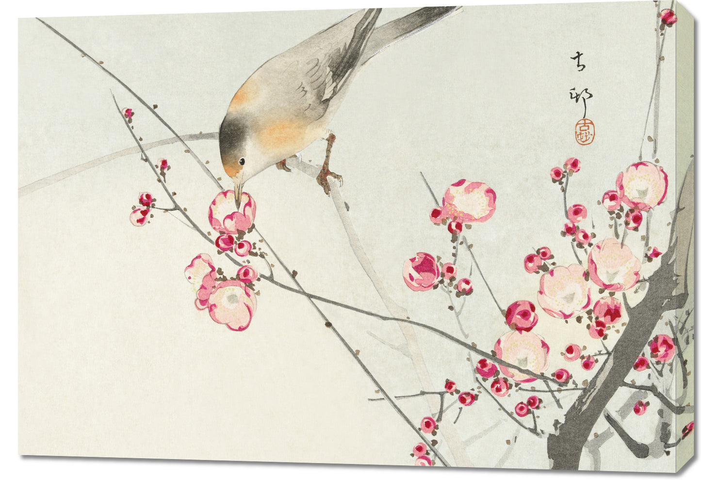 Obraz  Songbird on Blossom Branch, Koson Vintage do Salonu