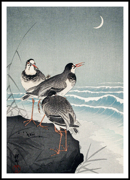 Plakat  Snipes at the Shore, Koson Japoński Vintage do Salonu