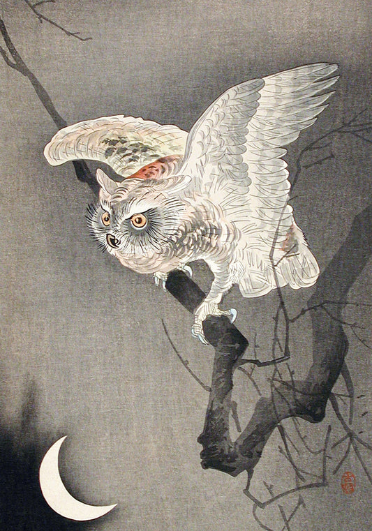 Plakat  Scops Owl in Moonlight, Koson Japoński Vintage do Salonu
