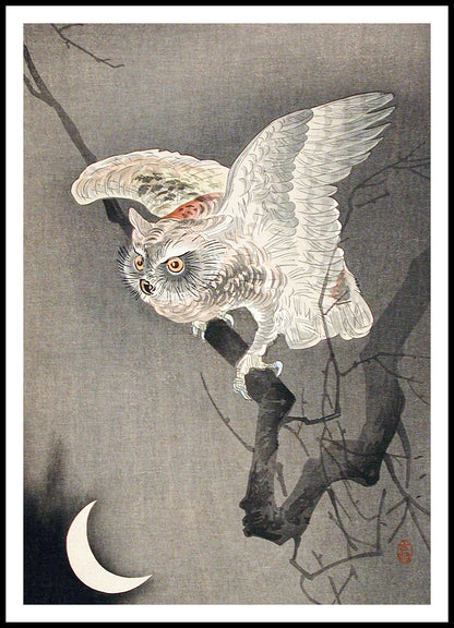 Plakat  Scops Owl in Moonlight, Koson Japoński Vintage do Salonu