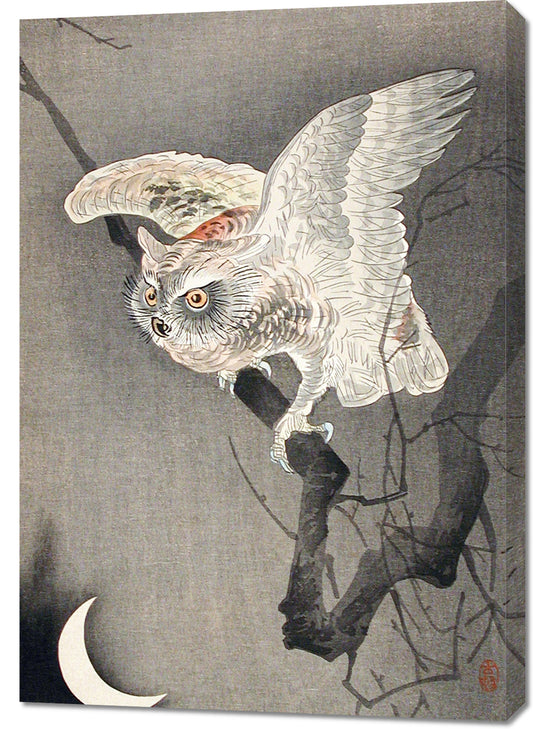 Obraz  Scops Owl in Moonlight, Koson Japoński Vintage do Salonu