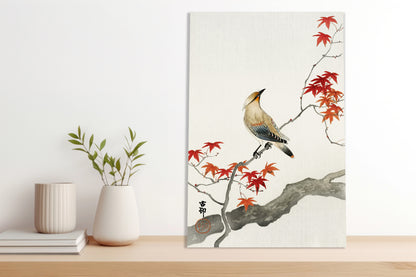 Obraz  Japanese Plague Bird on Maple, Koson Vintage do Salonu