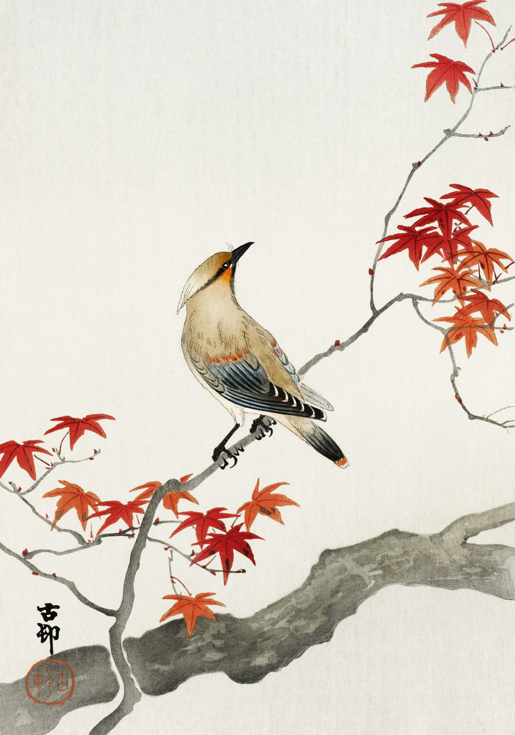Plakat  Japanese Plague Bird on Maple, Koson Vintage do Salonu