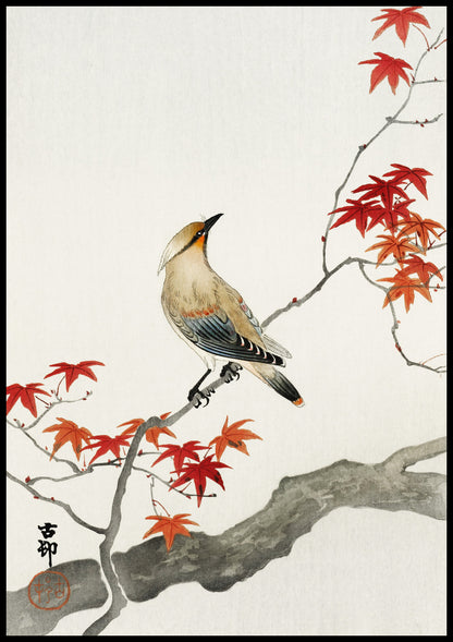 Plakat  Japanese Plague Bird on Maple, Koson Vintage do Salonu