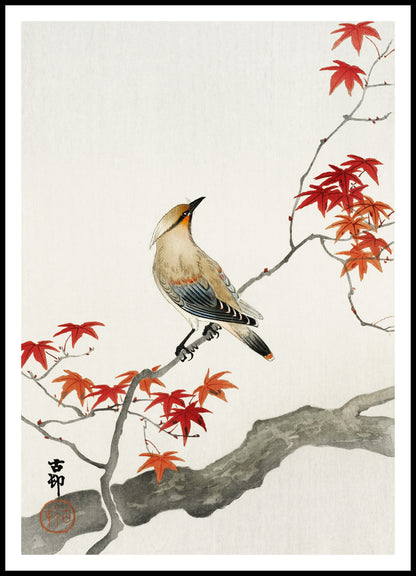 Plakat  Japanese Plague Bird on Maple, Koson Vintage do Salonu