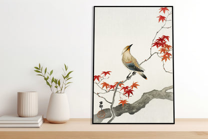 Plakat  Japanese Plague Bird on Maple, Koson Vintage do Salonu