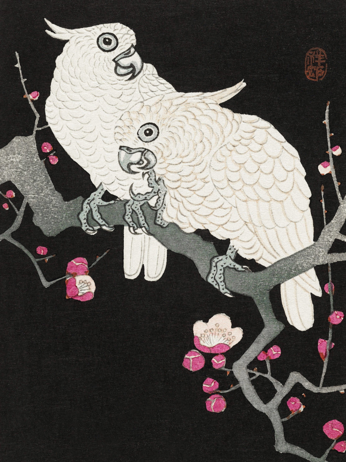 Plakat  Two Cockatoo, Koson Japoński Vintage do Salonu