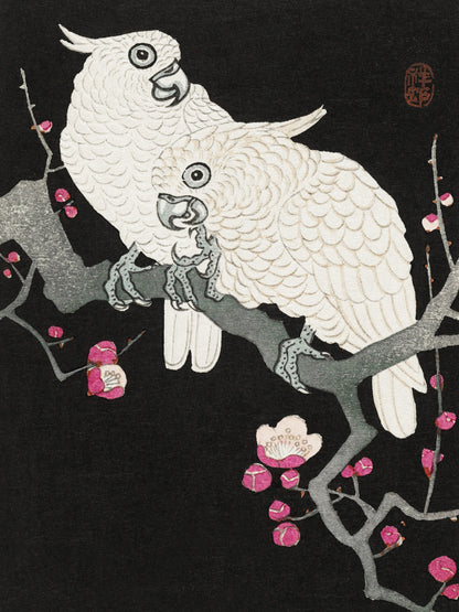 Plakat  Two Cockatoo, Koson Japoński Vintage do Salonu