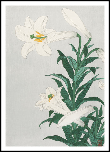 Plakat  Lilies, Koson Japoński Vintage do Salonu