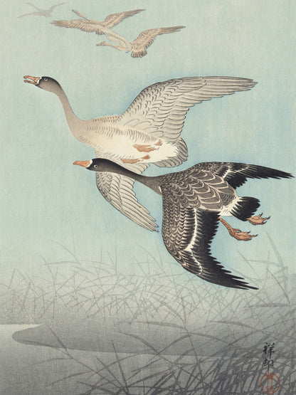 Plakat  Great Geese in Flight, Koson Japoński Vintage do Salonu
